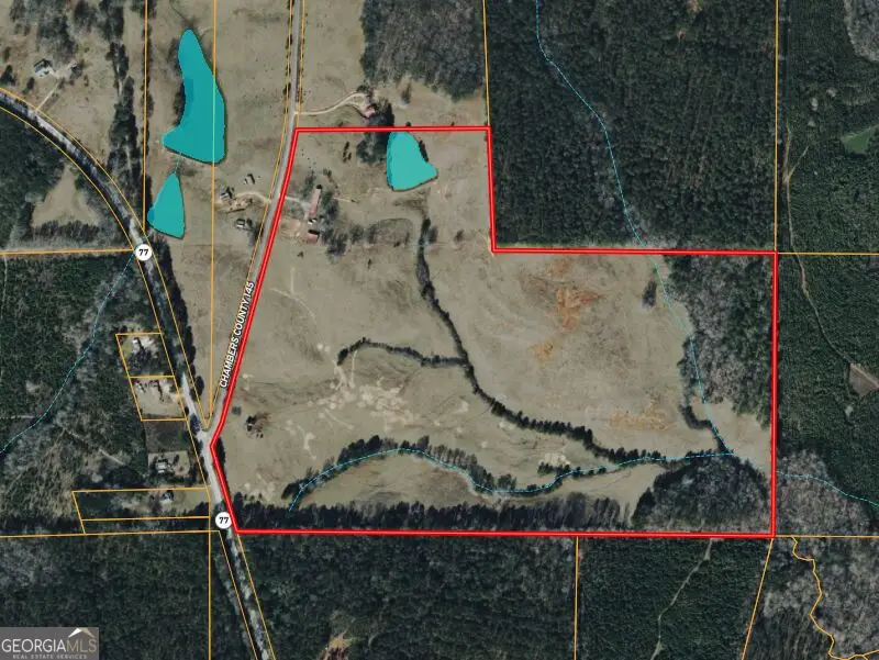 1126 County Road 145, Roanoke, AL 36274 - #2
