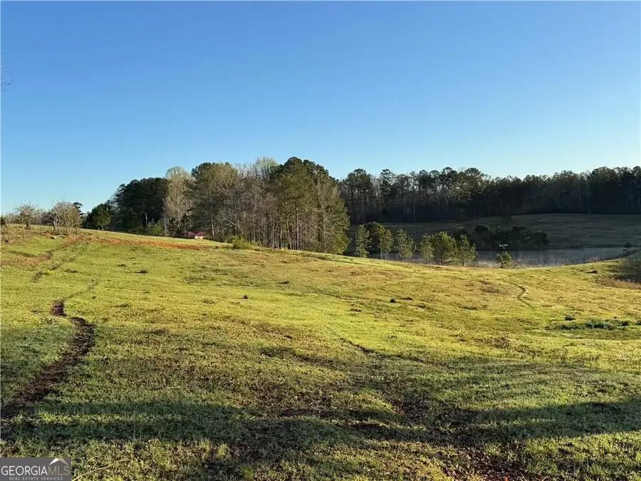 1126 County Road 145, Roanoke, AL 36274 - #3