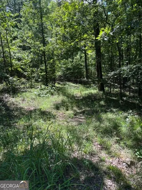3980 Clinton Court, Villa Rica, GA 30180