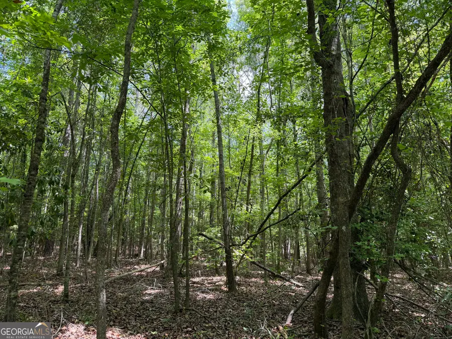 004 Little Sandy Creek Road, Toomsboro, GA 31090 - #2