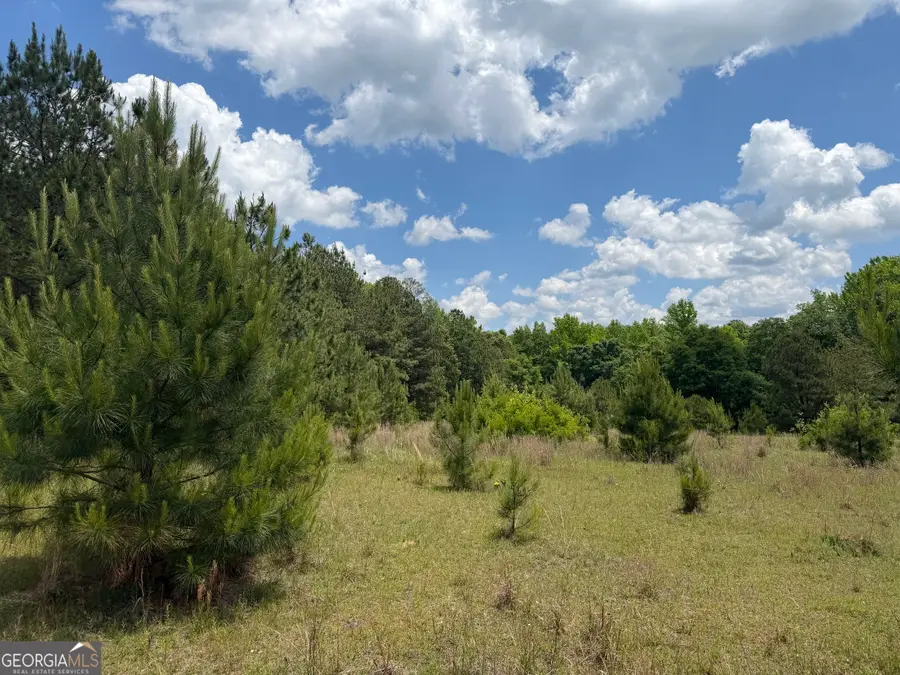 004 Little Sandy Creek Road, Toomsboro, GA 31090 - #3