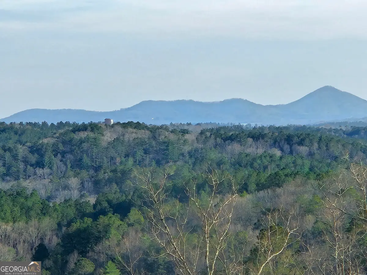 289 Anglers Ridge Road, Talking Rock, GA 30175 - #1