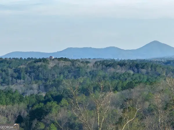 289 Anglers Ridge Road, Talking Rock, GA 30175