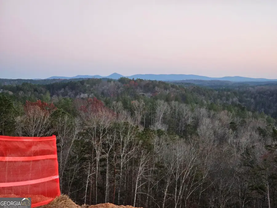 289 Anglers Ridge Road, Talking Rock, GA 30175 - #3
