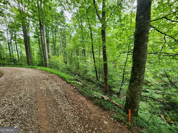 TRACT 2A Poplar Cove Trail, Suches, GA 30572