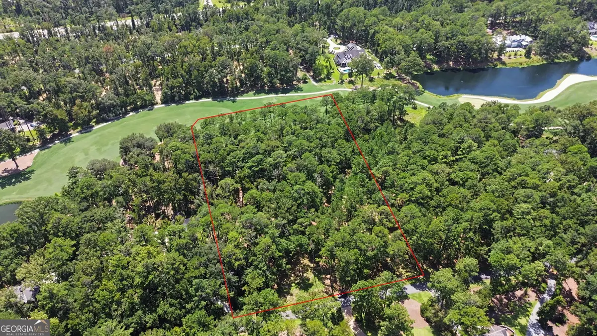 388 Belted Kingfisher Lane, Richmond Hill, GA 31324 - #1