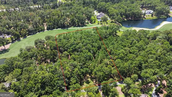 388 Belted Kingfisher Lane, Richmond Hill, GA 31324