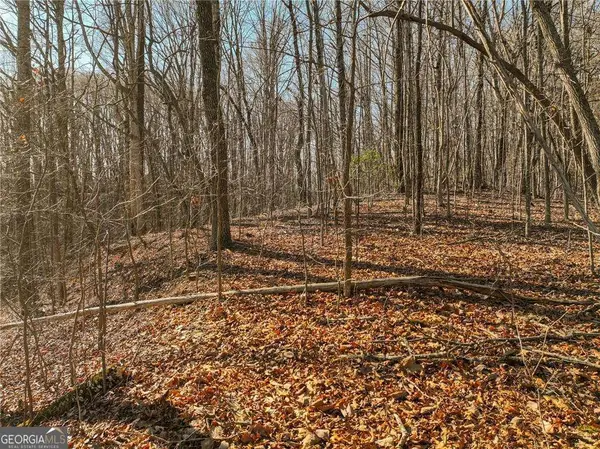LOT 5 Mount Mincie Road, Murrayville, GA 30564