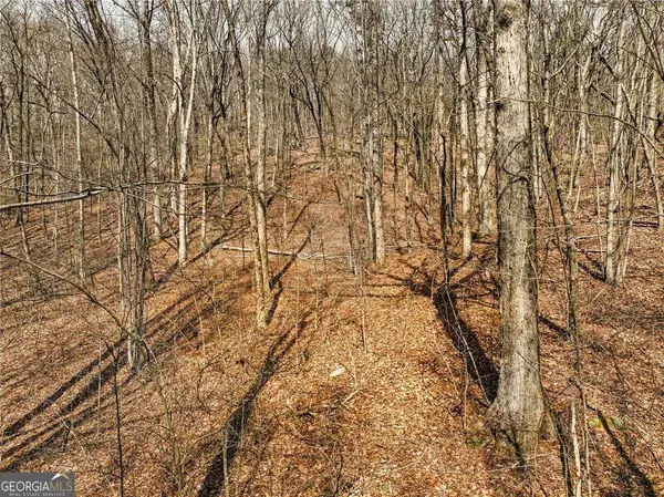 LOT 6 Mount Mincie Road, Murrayville, GA 30564