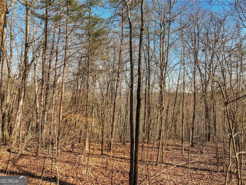 LOT 9 Mount Mincie Road, Murrayville, GA 30564 - #1