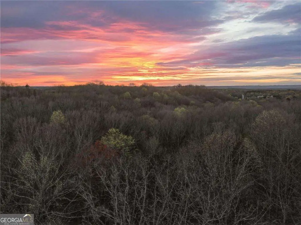 LOT 11 Mount Mincie Road, Murrayville, GA 30564 - #1