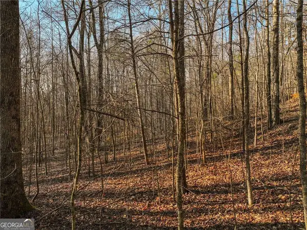 LOT 12 Mount Mincie Road, Murrayville, GA 30564