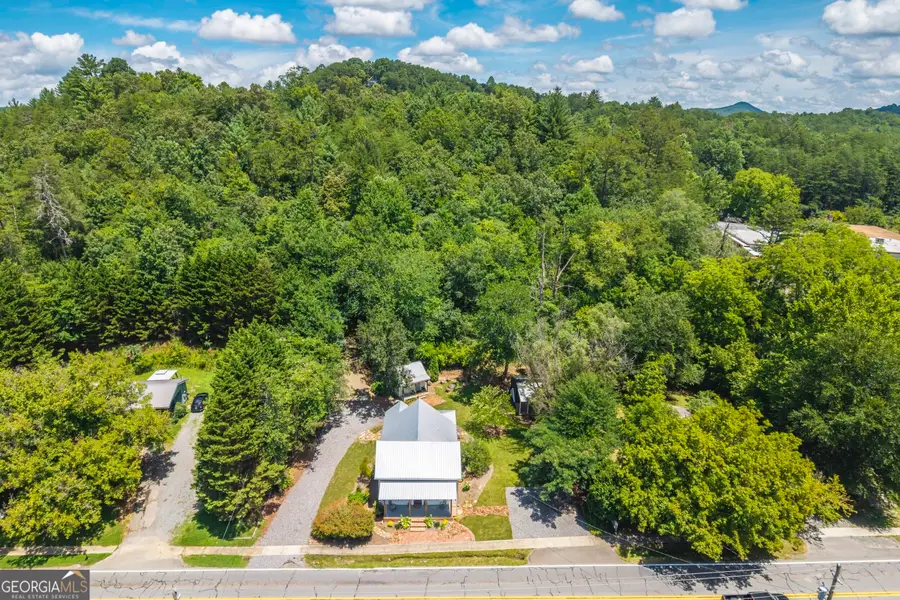 8679 Lakewood Highway, Mineral Bluff, GA 30559 - #2