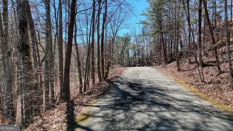 LOT 10 Firefly Ridge, Blairsville, GA 30512 - #2