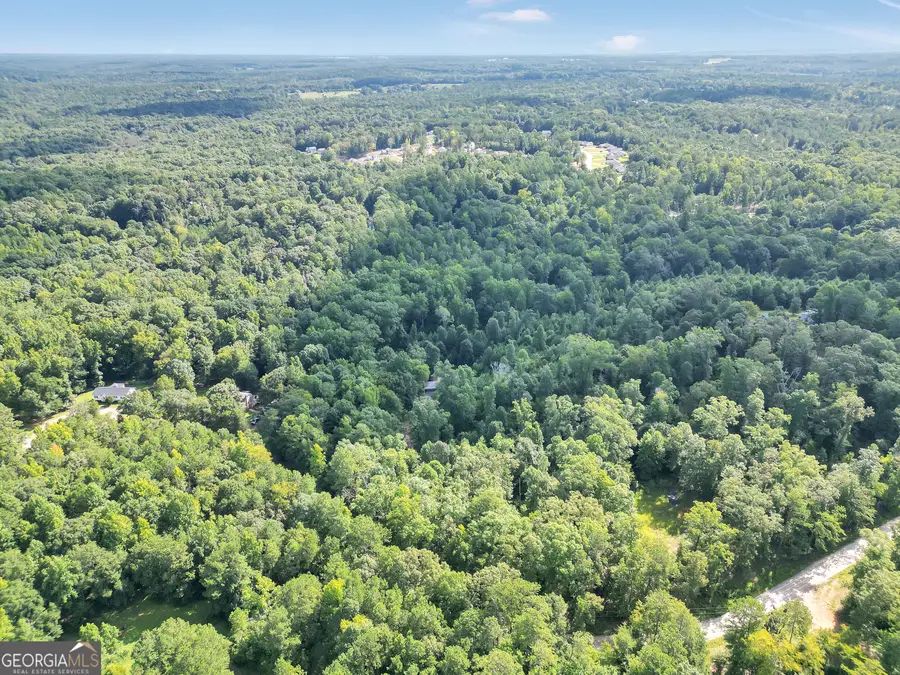 376 Doe Lane, Mansfield, GA 30055 - #3