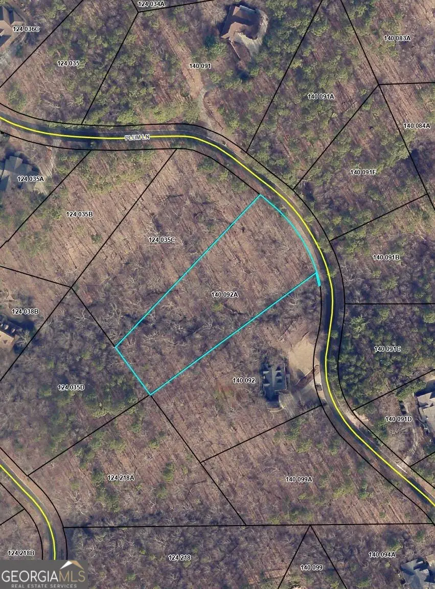 736 Plum Lane, Clarkesville, GA 30523 - #1