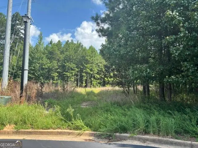 3030 Wood Valley Court, Loganville, GA 30052 - #1