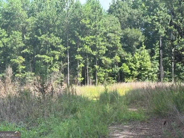 3030 Wood Valley Court, Loganville, GA 30052 - #2