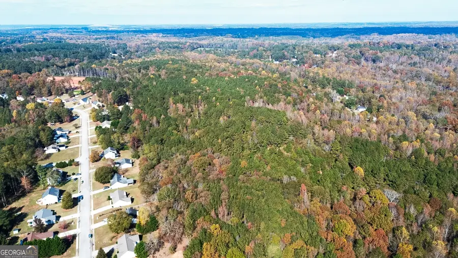 0 Tanners Bridge Circle, Bethlehem, GA 30620 - #2