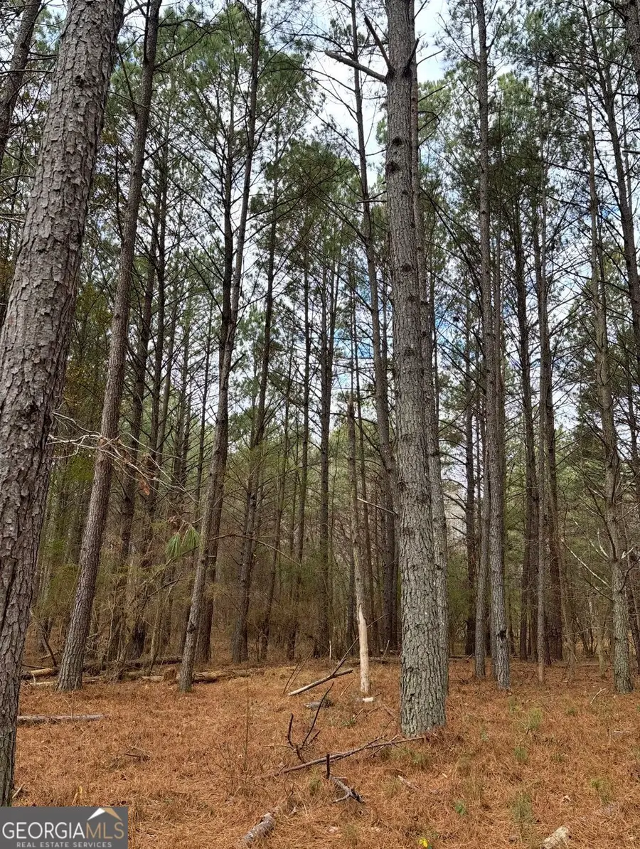 556 Benton Road, Covington, GA 30014 - #2