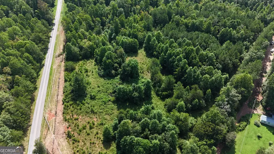 10.8 AC Cody Road, Mount Airy, GA 30563 - #2