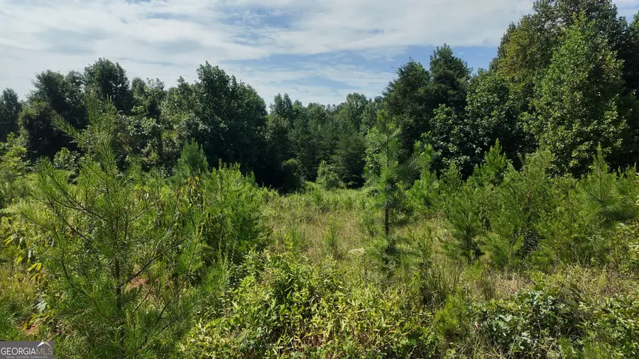 10.8 AC Cody Road, Mount Airy, GA 30563 - #3