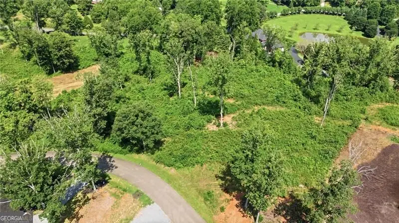 17 Mystic Drive, Ellijay, GA 30540 - #3