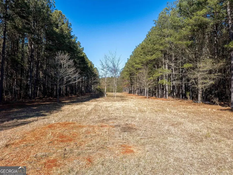 1250 Rogers Road, Tignall, GA 30668 - #3