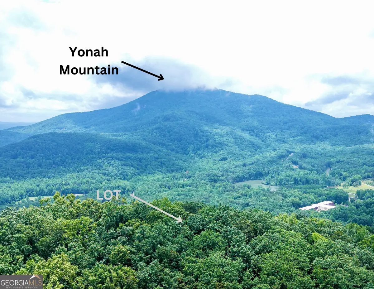 LOT B19 Starlight Drive, Sautee Nacoochee, GA 30571 - #1