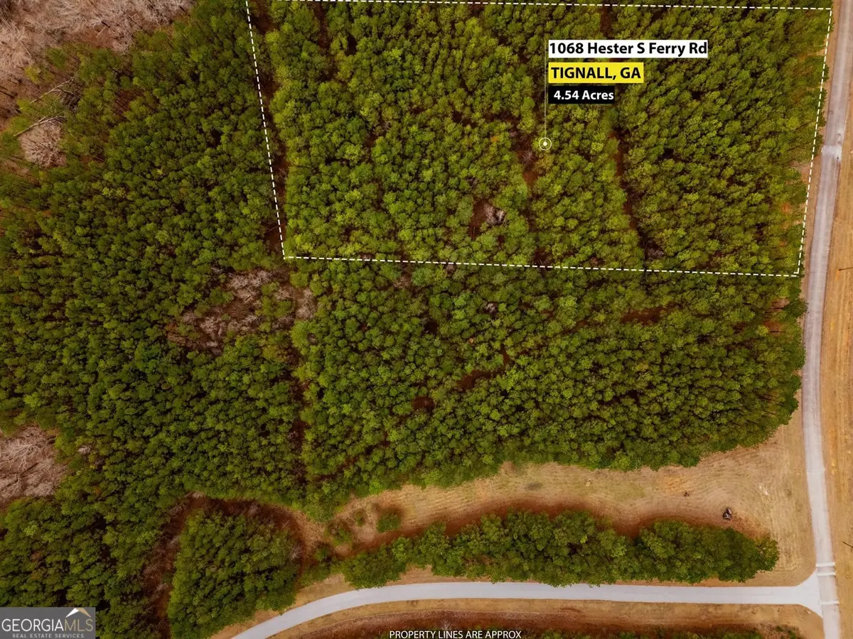 1068 Hesters Ferry Road, Tignall, GA 30668 - #1