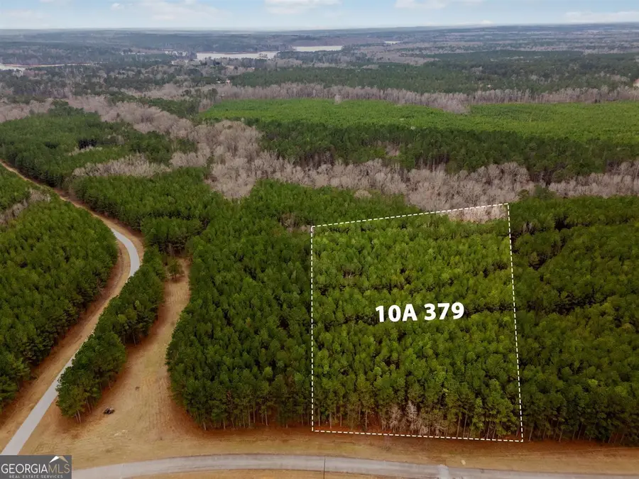 1068 Hesters Ferry Road, Tignall, GA 30668 - #3