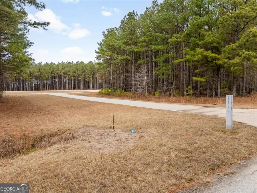 1325 Magnolia Court, Tignall, GA 30668 - #3