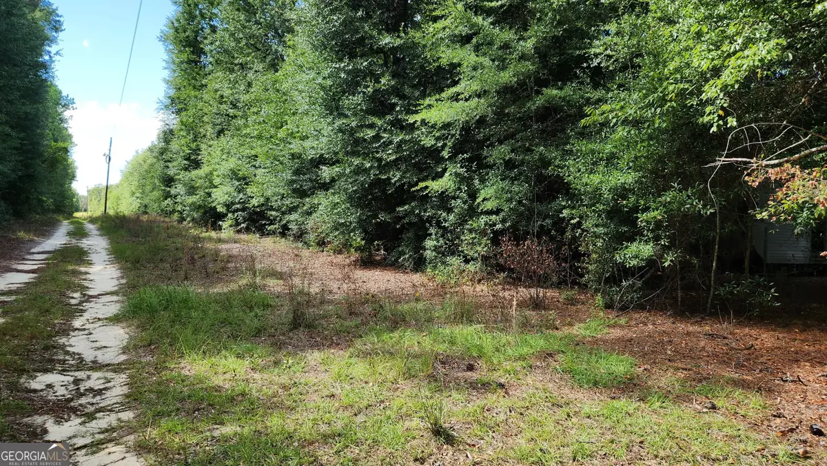 0 Martin Way, Waynesboro, GA 30830 - #1
