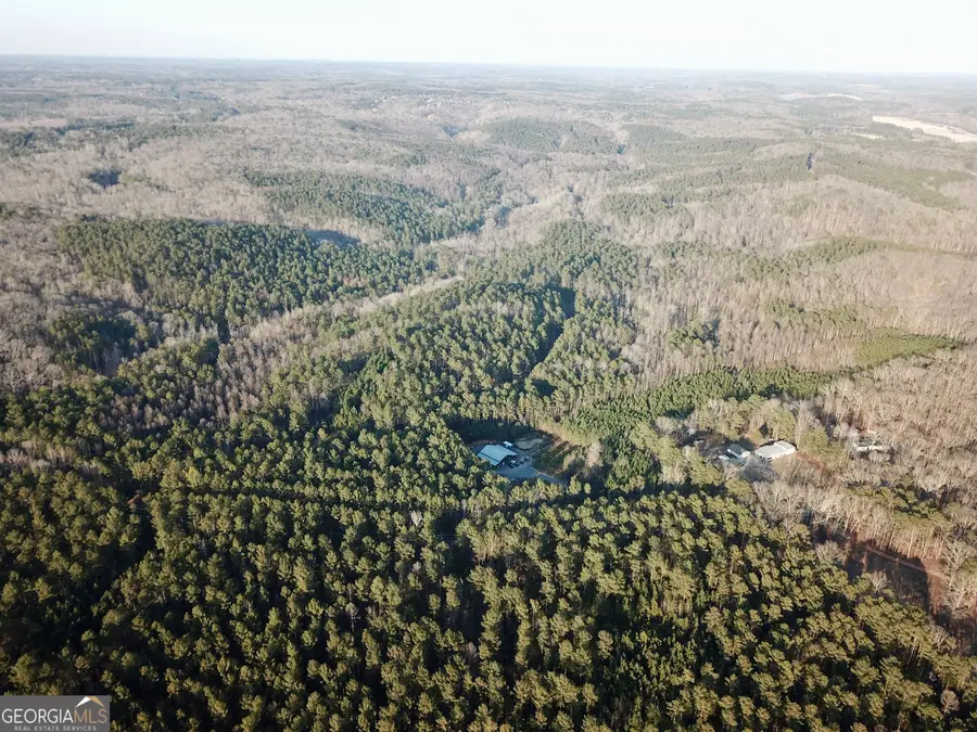 0 - TRACT 4 Mt Zion Church Road, Whitesburg, GA 30185 - #2