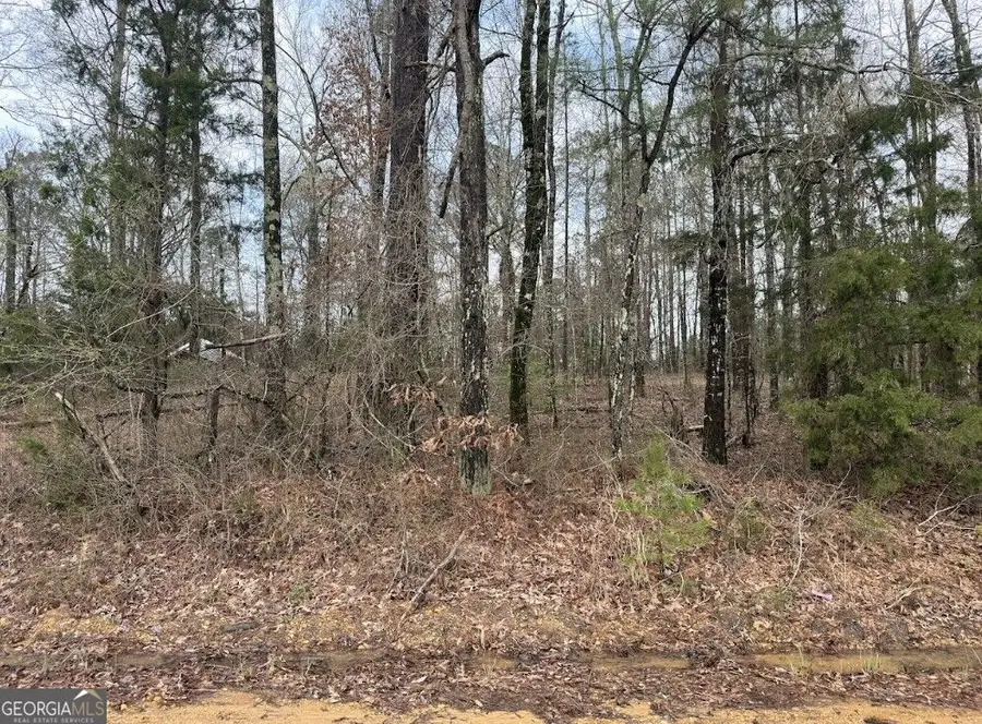 0 Otts Road #UNIT A, Fayette, AL 35555 - #3