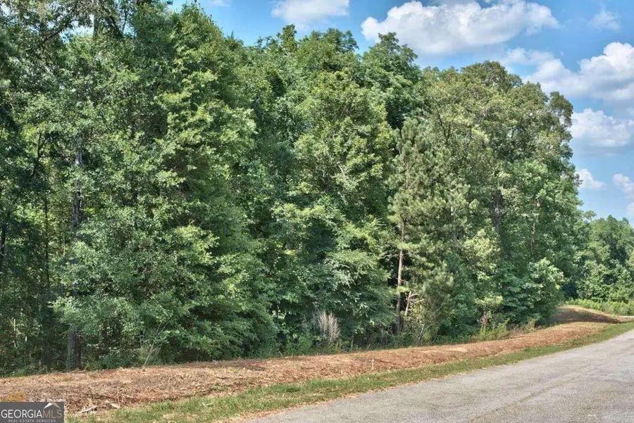 1190 Waterstone Drive, Madison, GA 30650 - #2