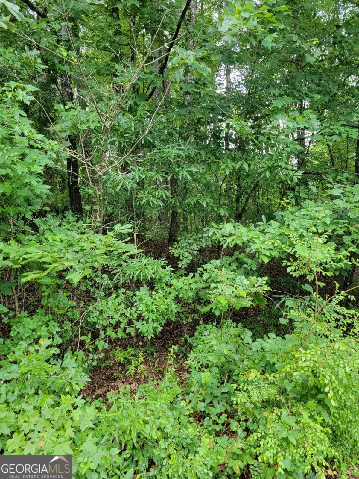 228 Deerwood Circle, Griffin, GA 30223 - #1
