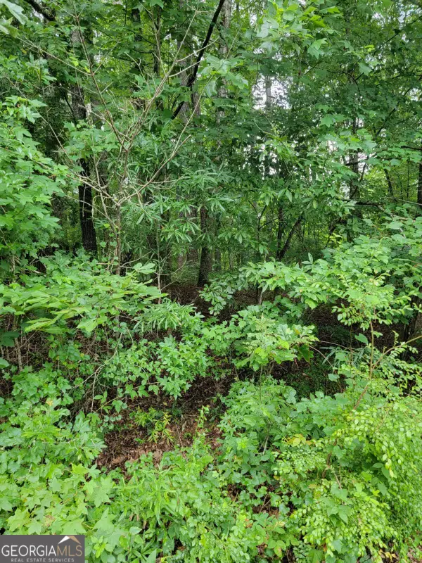 228 Deerwood Circle, Griffin, GA 30223