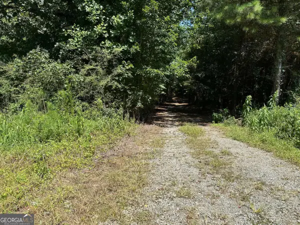 305 Wildcat Road, Buchanan, GA 30113