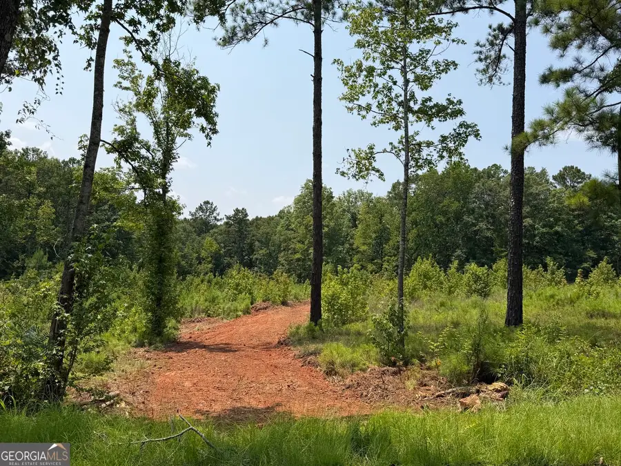 1136 Giles Road, Forsyth, GA 31029 - #3