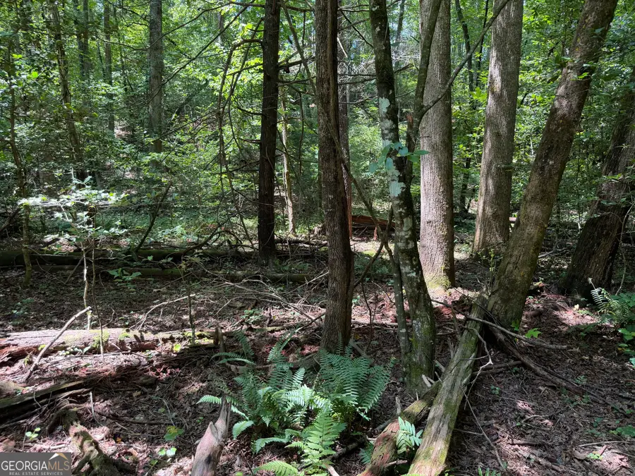 0 Alpine Drive, Sautee Nacoochee, GA 30571 - #3