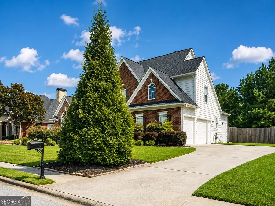 403 Carriage Oaks Drive, Tyrone, GA 30290 - #3
