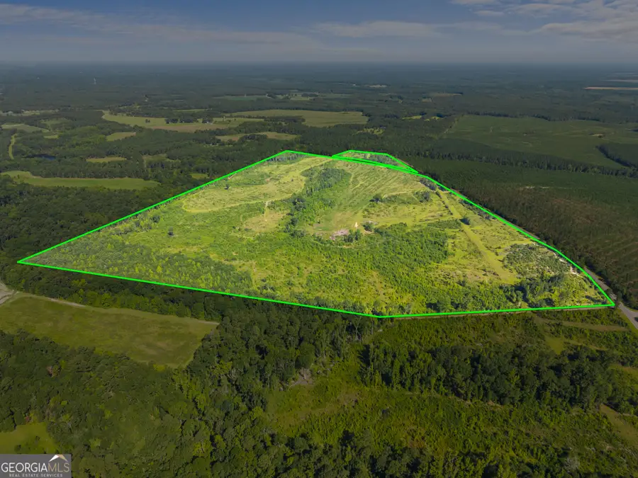 3605 Perkins Hiltonia Road, Millen, GA 30442 - #2