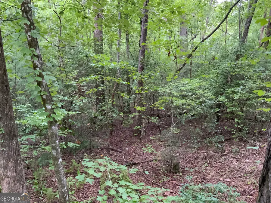 0 Skylake And Wheeler Ridge Road, Sautee Nacoochee, GA 30571 - #3