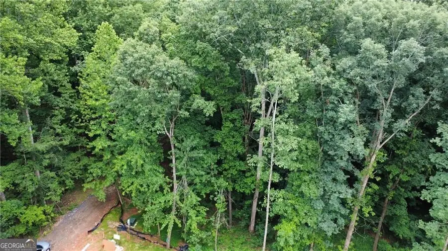 4230 Belvedere Drive, Gainesville, GA 30506 - #2