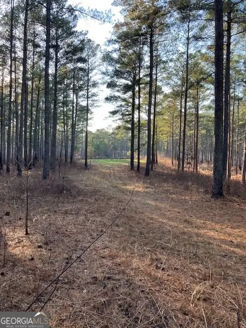 352 Woodville Philomath Rd, Rayle, GA 30660 - #1