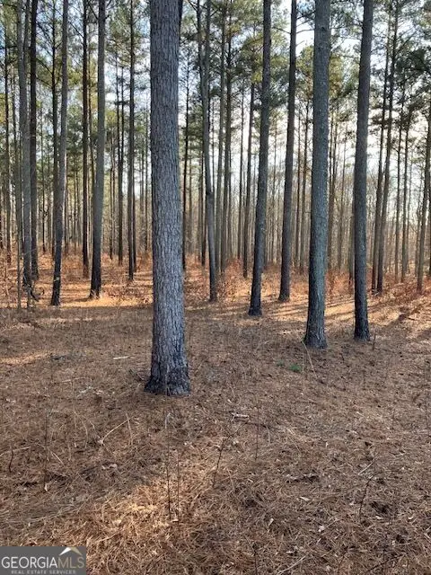 280 Woodville Philomath Rd, Rayle, GA 30660 - #1
