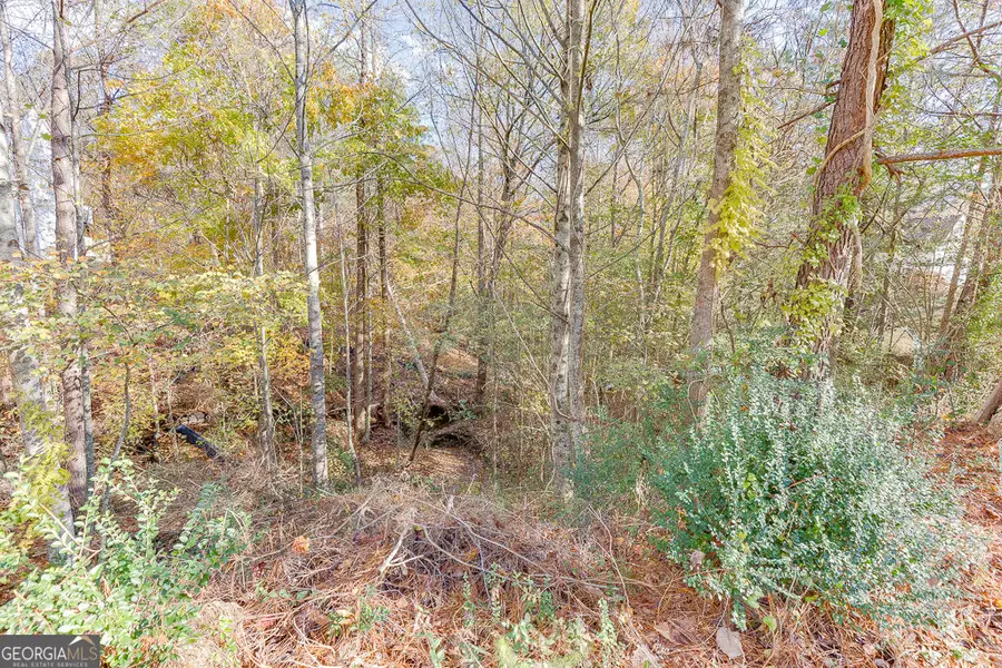 5137 Yellow Stone Drive, Flowery Branch, GA 30542 - #3