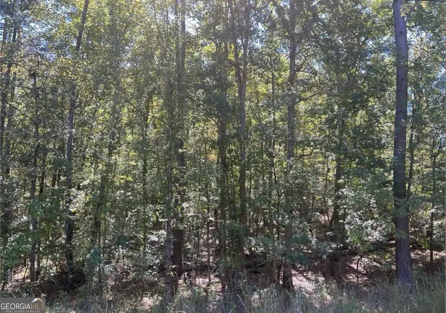 LOT 162 Jamesway Drive, Sparta, GA 31087 - #2