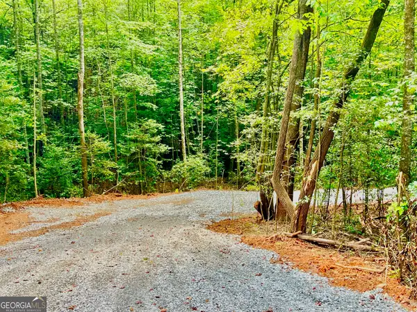 TRACK 2 Afton Road, Dawsonville, GA 30534